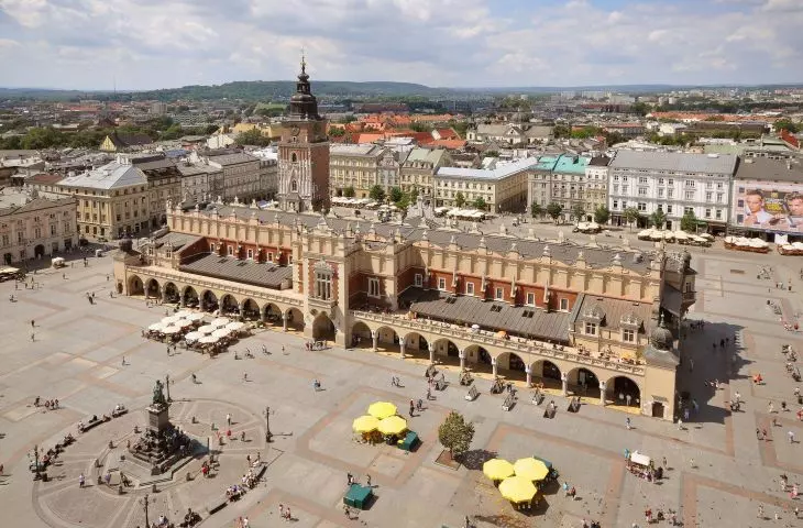 Posadzą drzewa na rynku w Krakowie