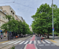 27 Grudnia Street in Poznan. Left: hazel trees to be removed. Right: plane trees whose crowns interfere with the relocated streetcar route.