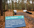 Las pamięci, cmentarz komunalny na Junikowie w Poznaniu