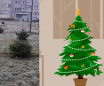 Krakow and Wroclaw introduce Christmas tree collection system