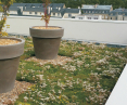 GalaProduct green roofs - water-permeable pavements