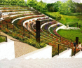ogród miododajny w dawnym amfiteatrze parku Cytadela w Poznaniu, wizualizacja