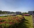 Dörken, a green roof in the UW Department of Neophilogy building