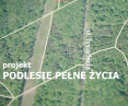 Park Podlesie w Dąbrowie Górniczej