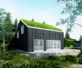 House with a green roof