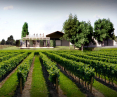 Projekt sali do degustacji wina