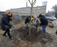 Jedna ze społecznych akcji sadzenia drzew w Gdańsku
