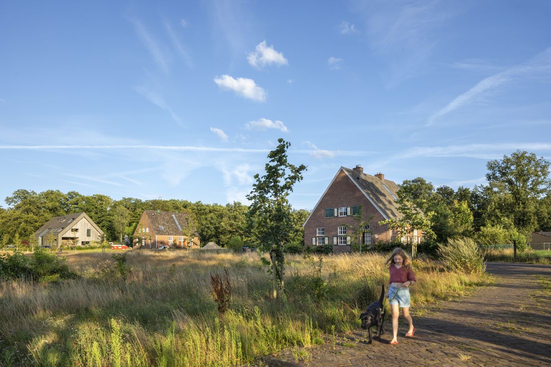 Malownicze otoczenie zrewitalizowanych budynków na Buitenplaats Koningsweg
