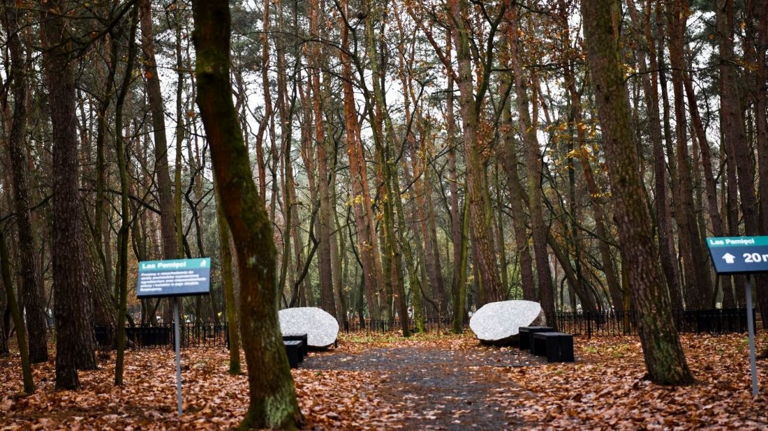 Las pamięci, cmentarz komunalny na Junikowie w Poznaniu