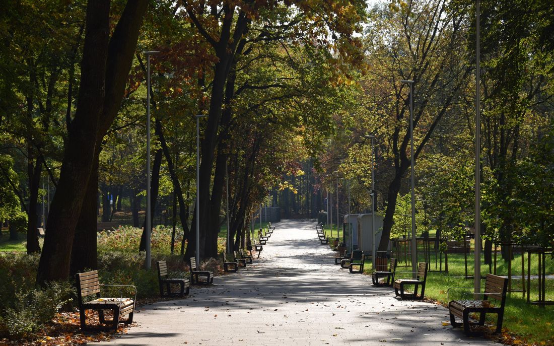 Park Pokoju pomiędzy ul. Słowackiego, Chemików, Dąbrowskiego i Olszewskiego w Oświęcimiu