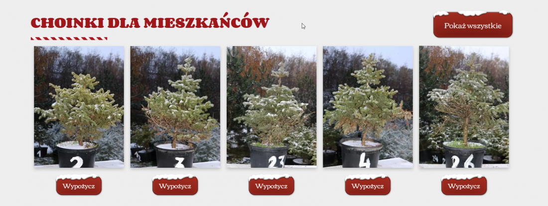 Choinki można wypożyczyć na stronie 