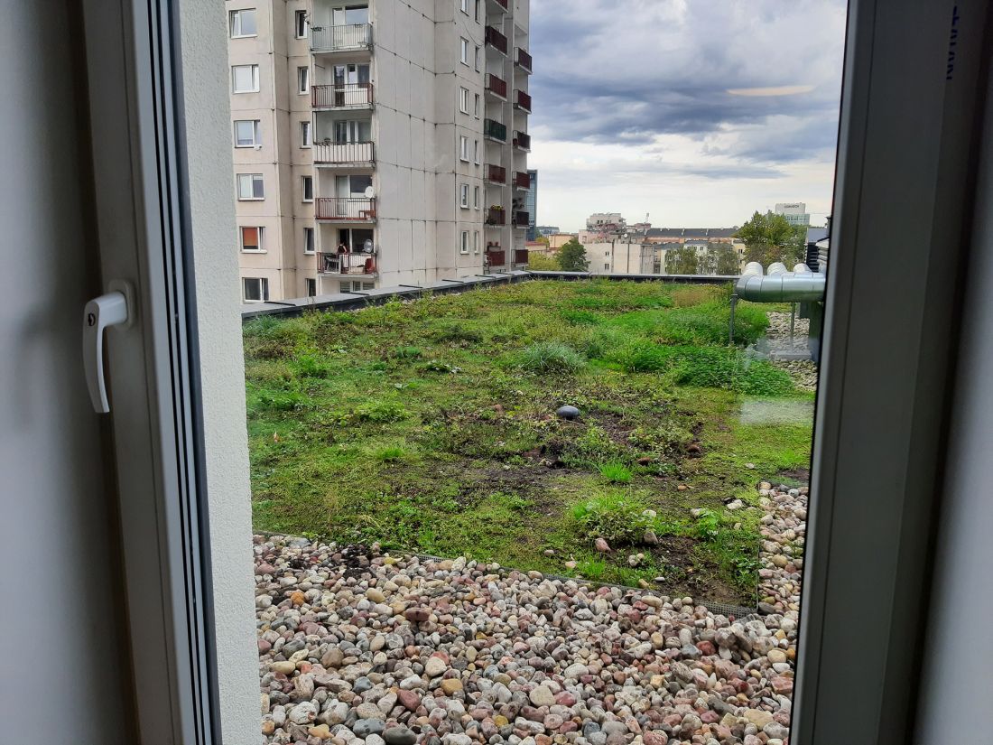 Dach zielony na budynku wielorodzinnym w Łodzi