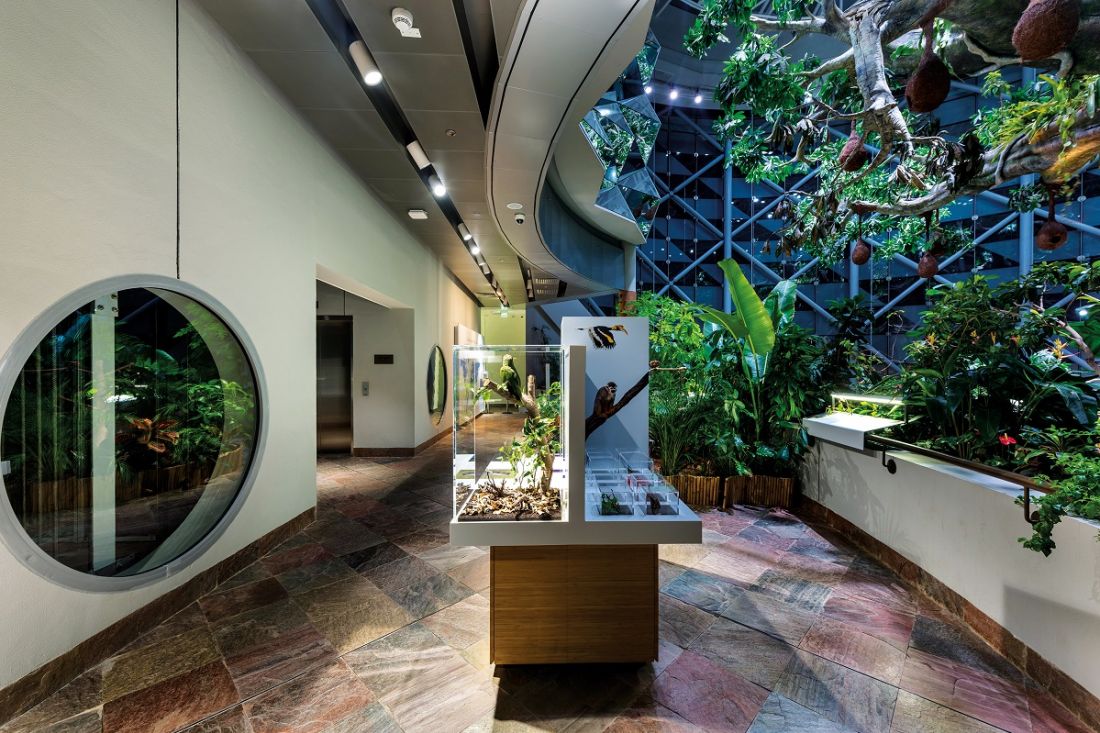Green Planet w Dubaju
