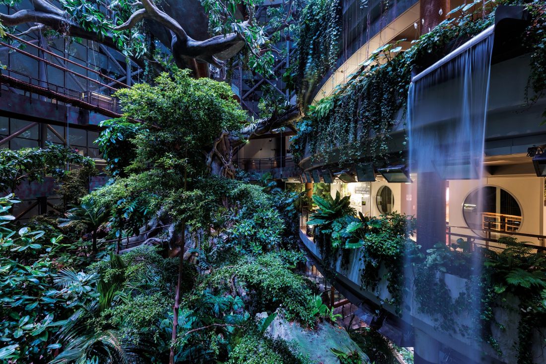Green Planet w Dubaju