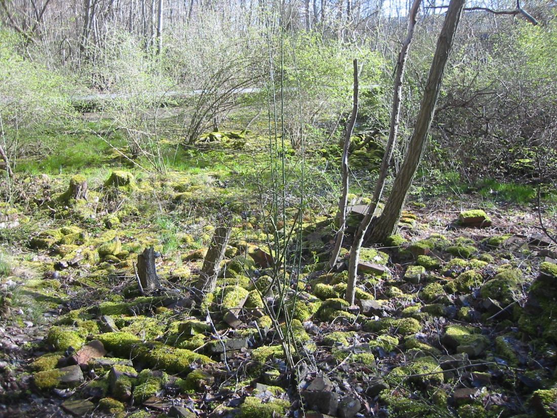 Schöneberger Südgelände 