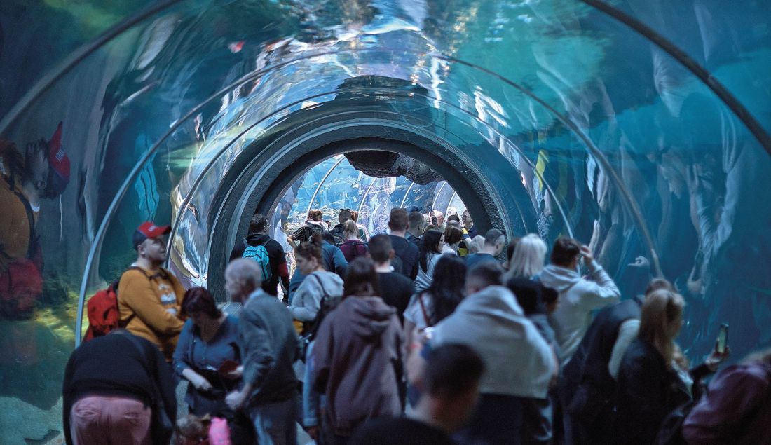  tak jak Wrocław odmieniło Afrykarium...