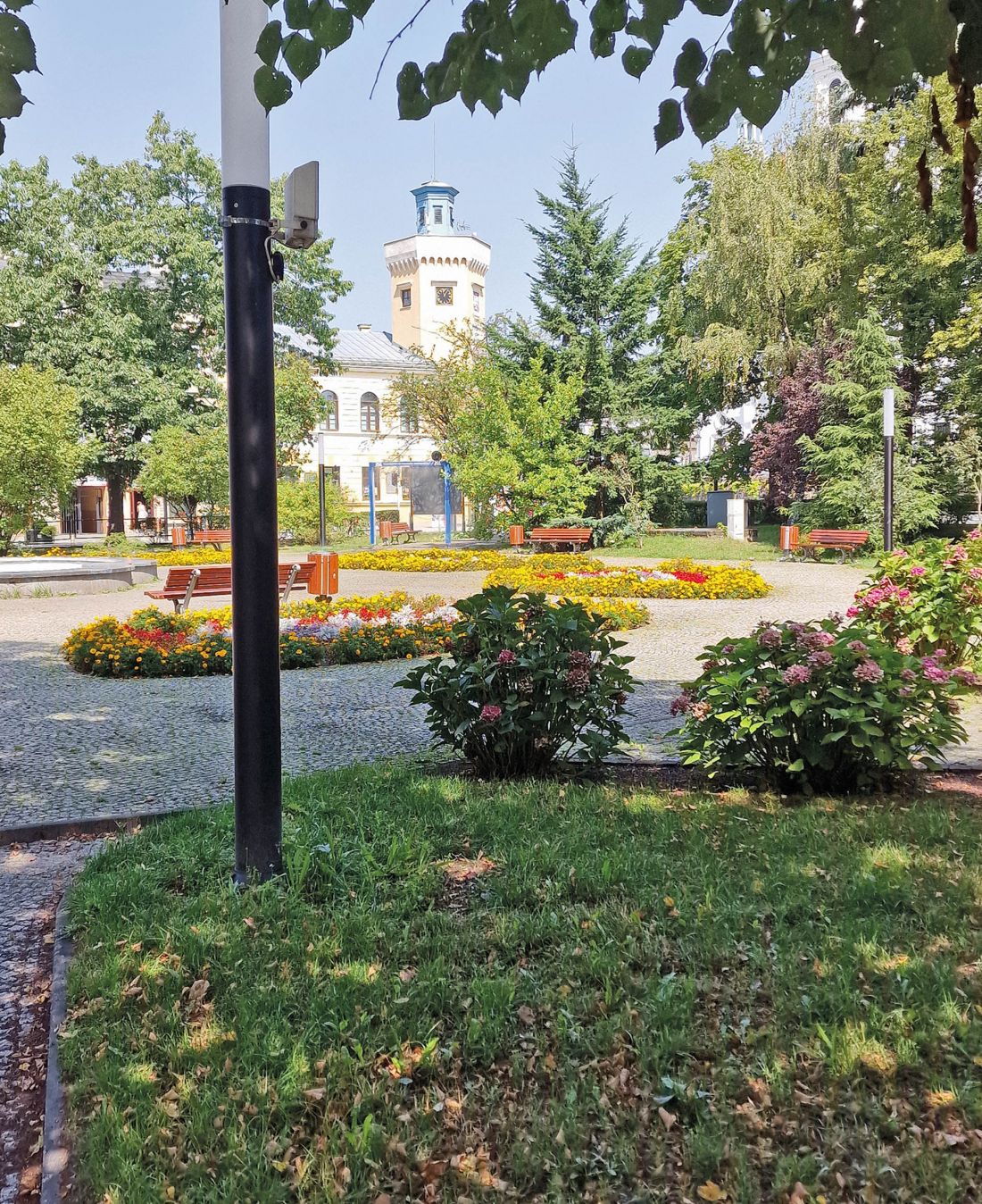 stary rynek w Radomsku w upalne dni tonie w zieleni i cieniu 