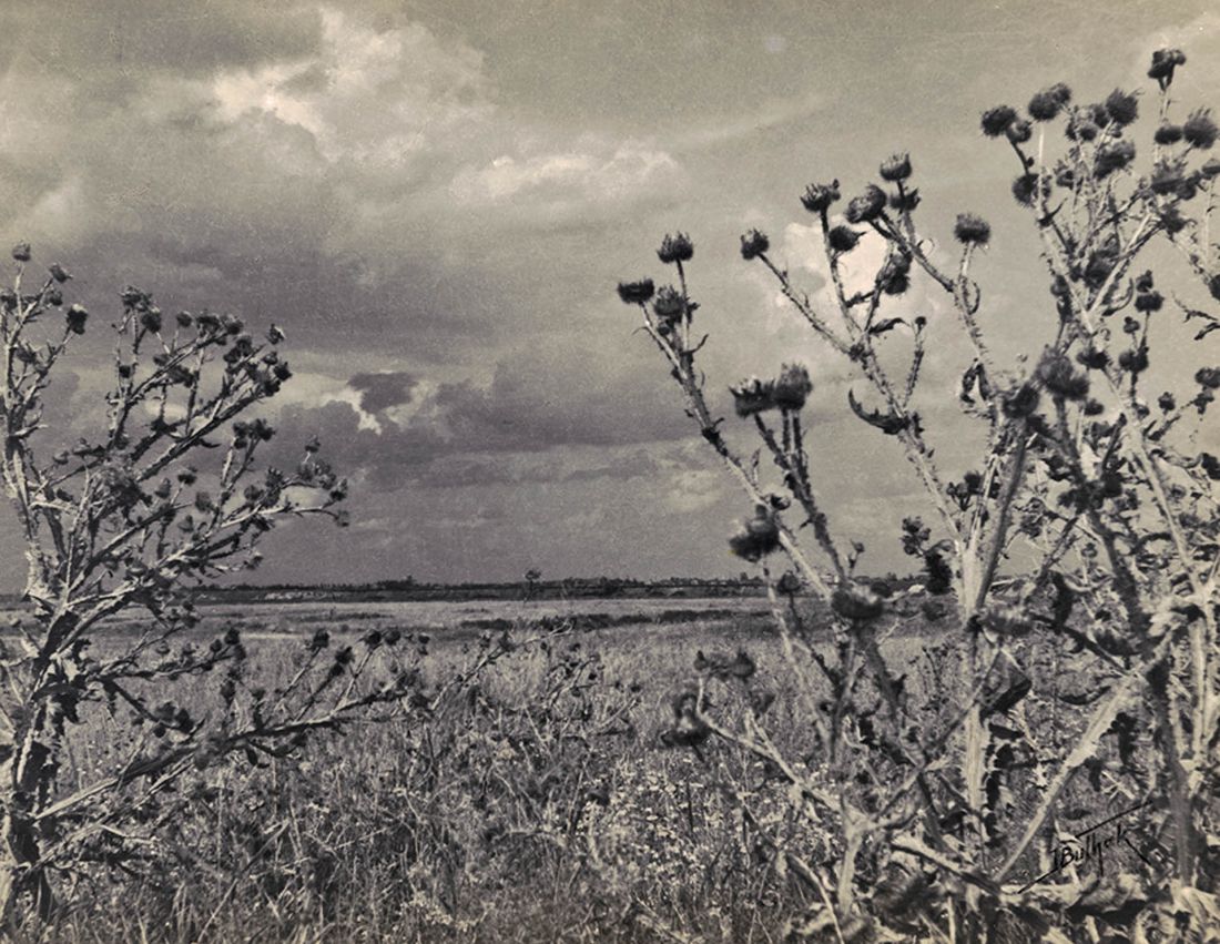  Jan Bułhak, „Osty na Żoliborzu”, 1945, 
