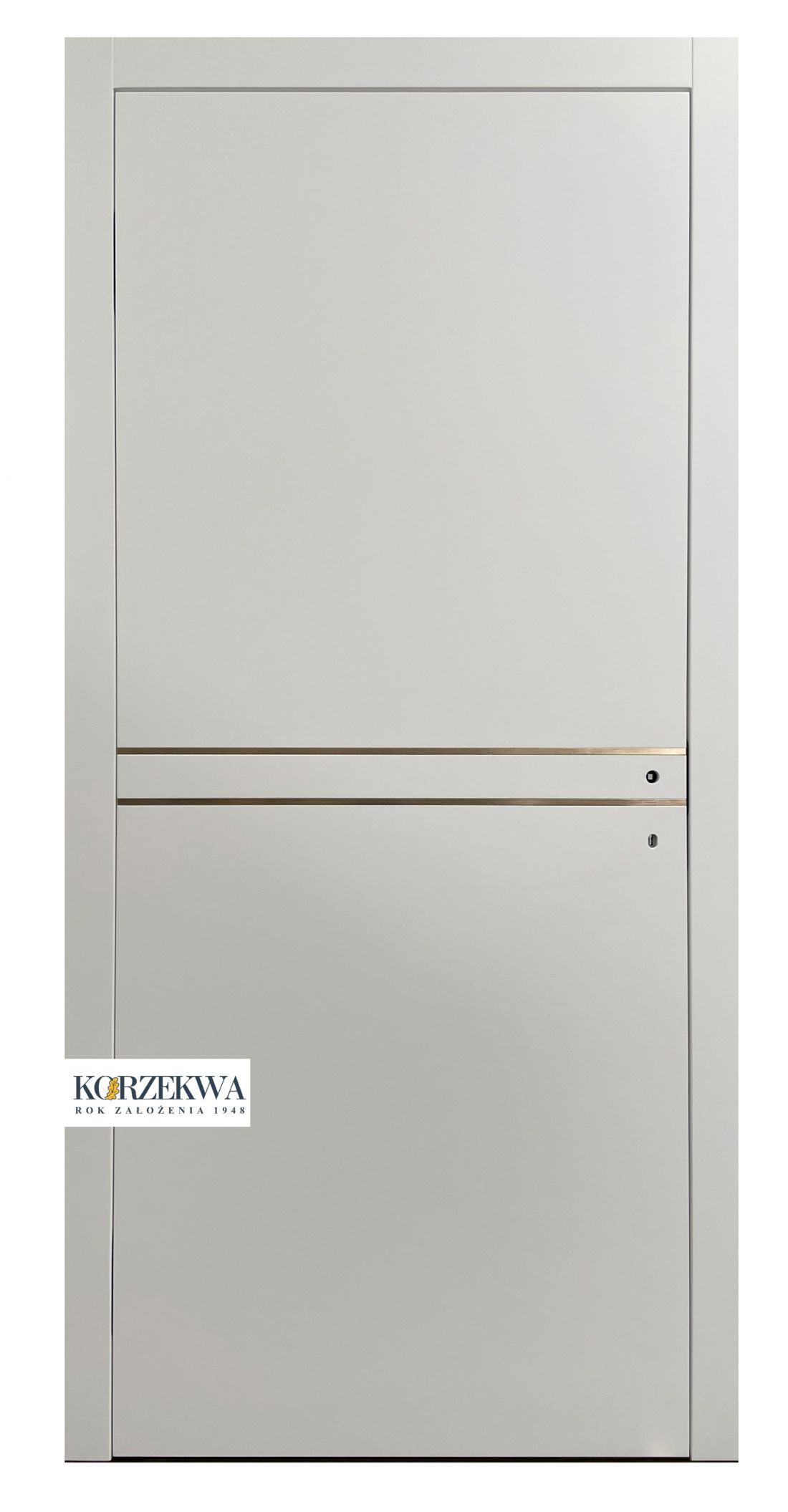 Drzwi wewnętrzne DW 111