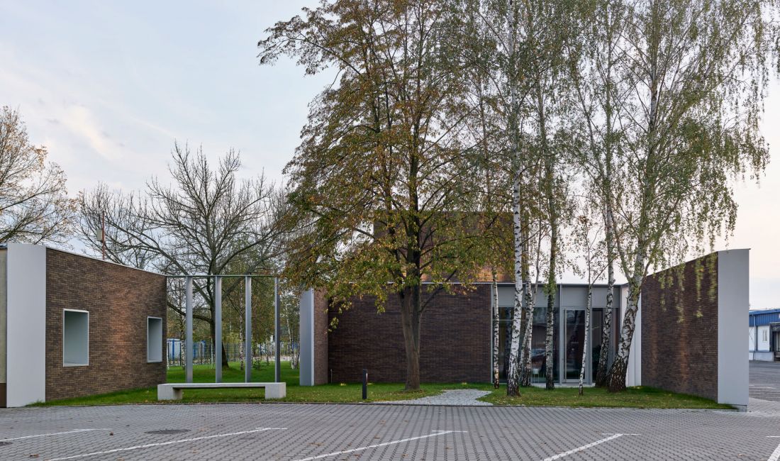 architekci otoczyli istniejący lasek brzozowy