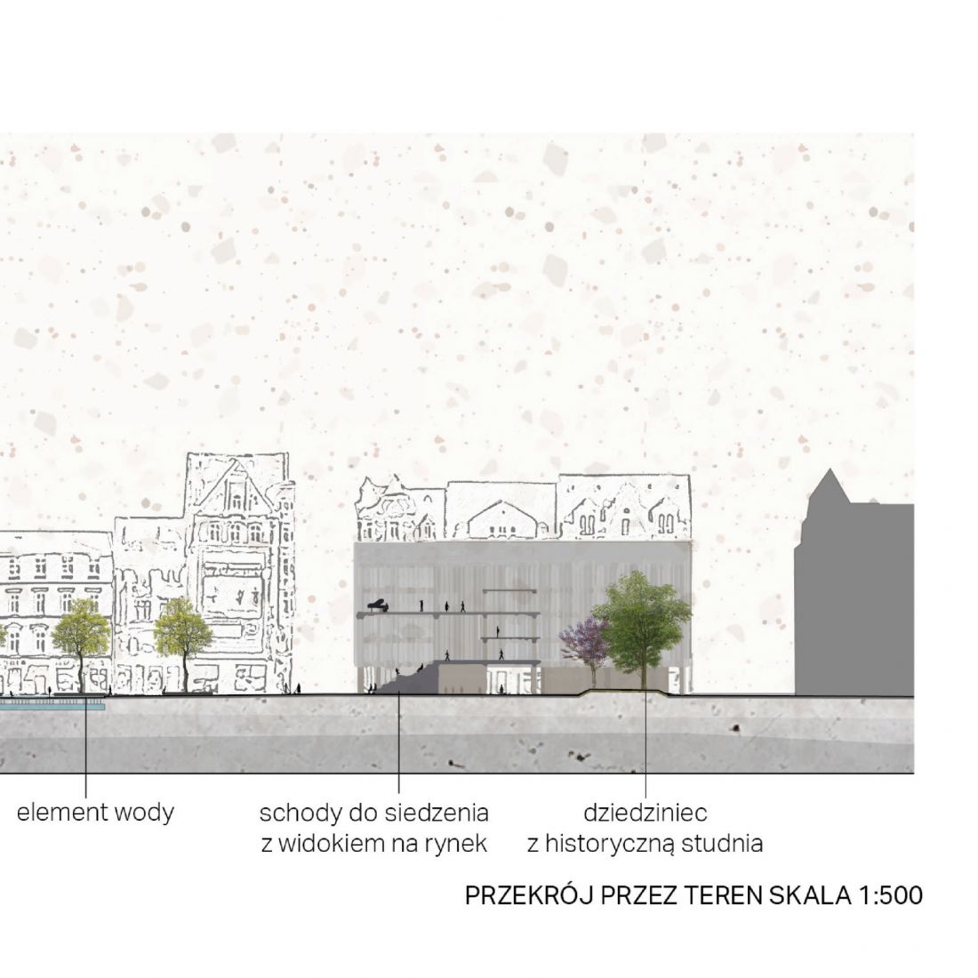 przekrój przez teren