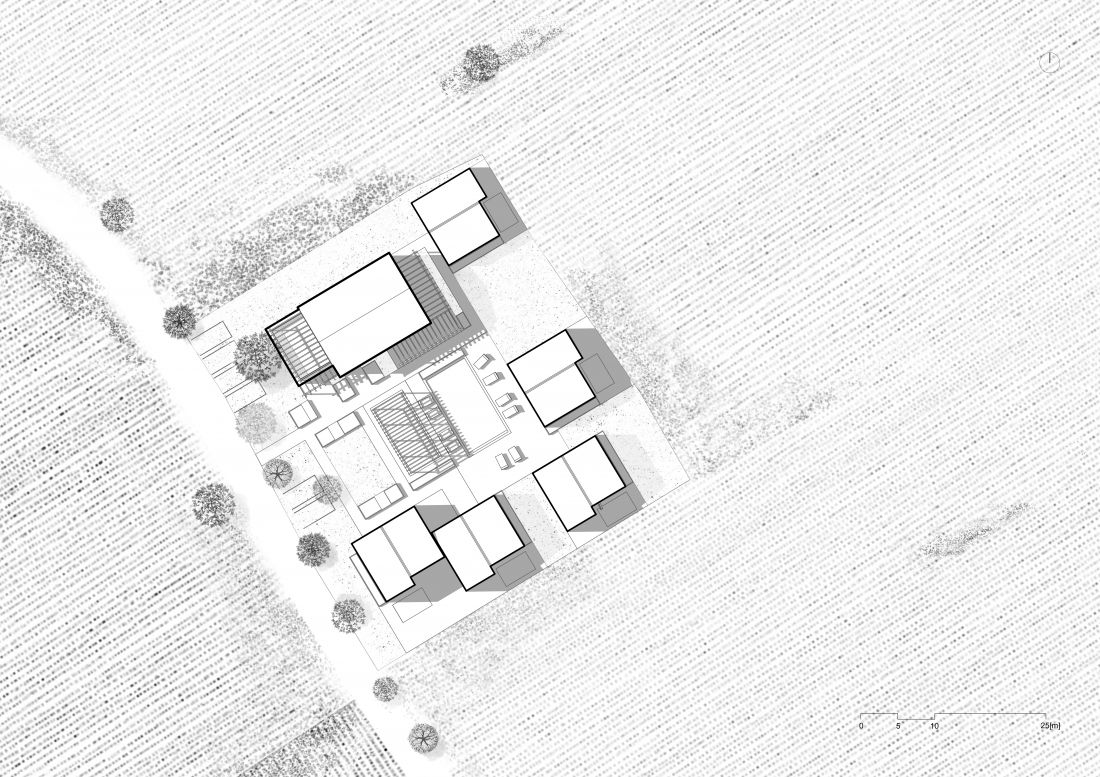Projekt Wine Site, plan zagospodarowania terenu