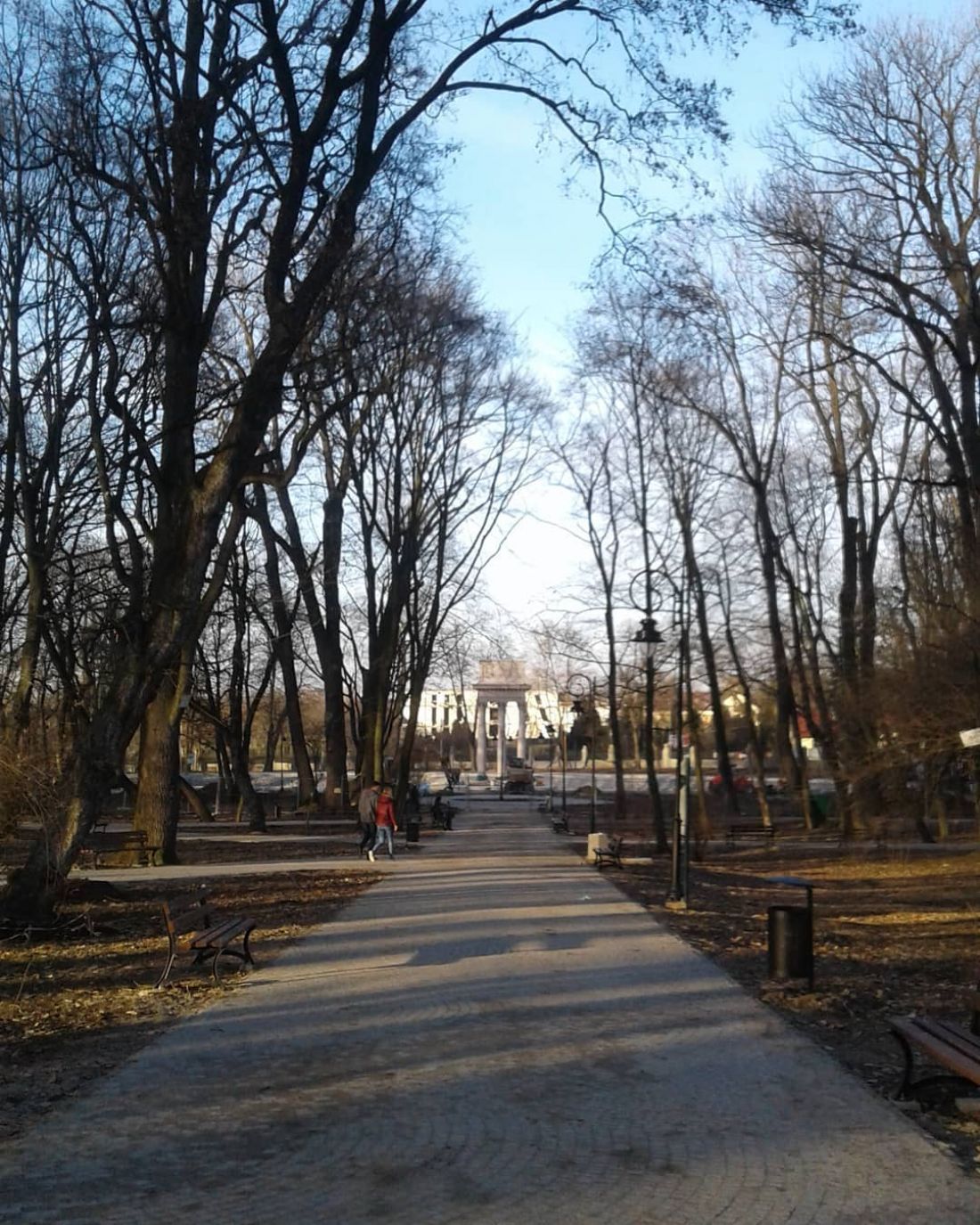 ścieżka pośród wysokich drzew, która prowadzi do mauzoleum Józefa Bema
