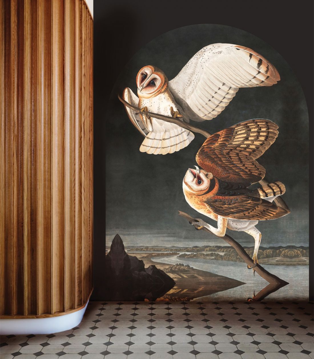 tapeta Owls