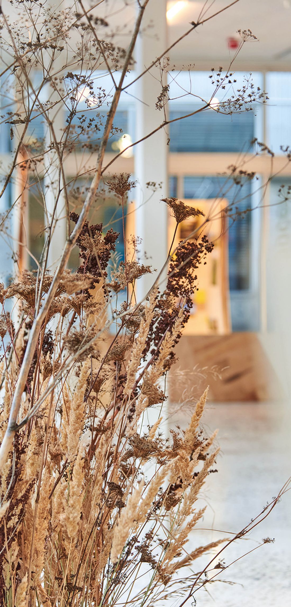  fragment instalacji „Re-natura” Kaspra Jakubowskiego
