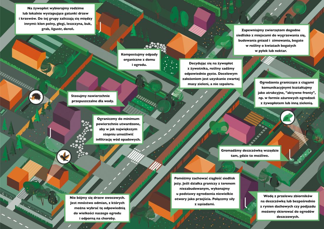 System zarządzania zielenią miejską dla Miasta Zduńska Wola