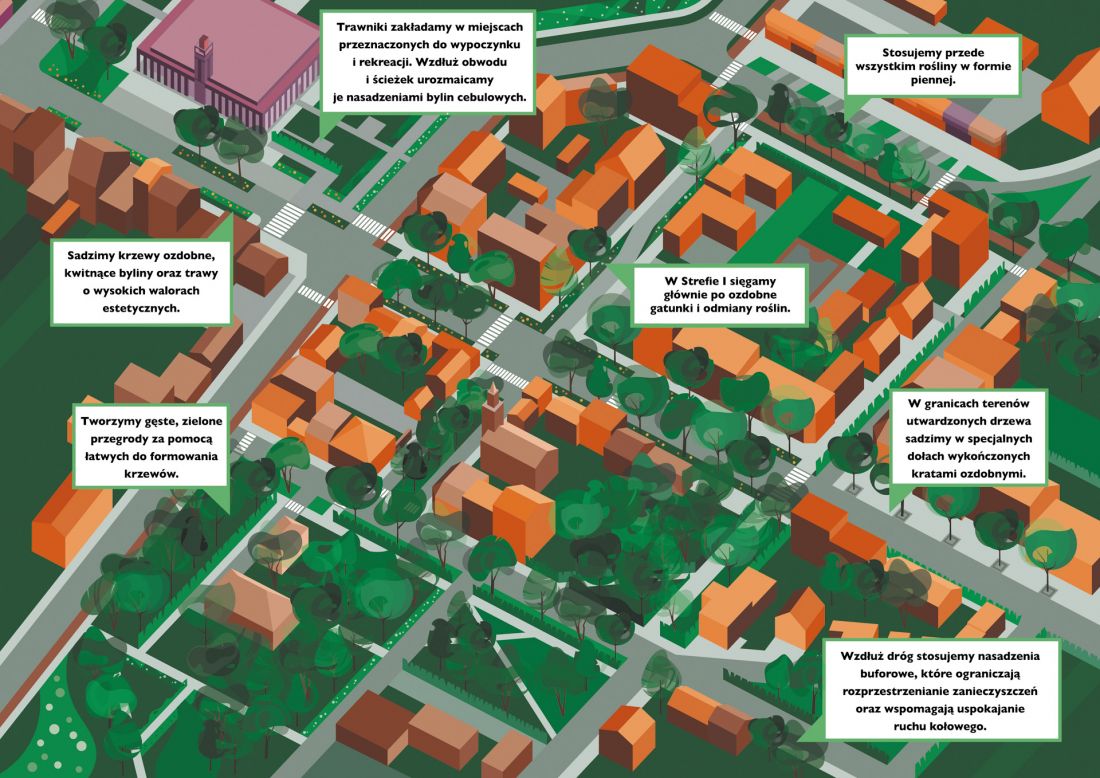 System zarządzania zielenią miejską dla Miasta Zduńska Wola