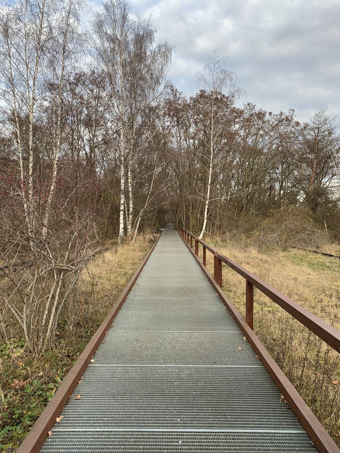 berliński Südgelände Natur-Park - przykład udostępnienia sukcesji na dawnym torowisku