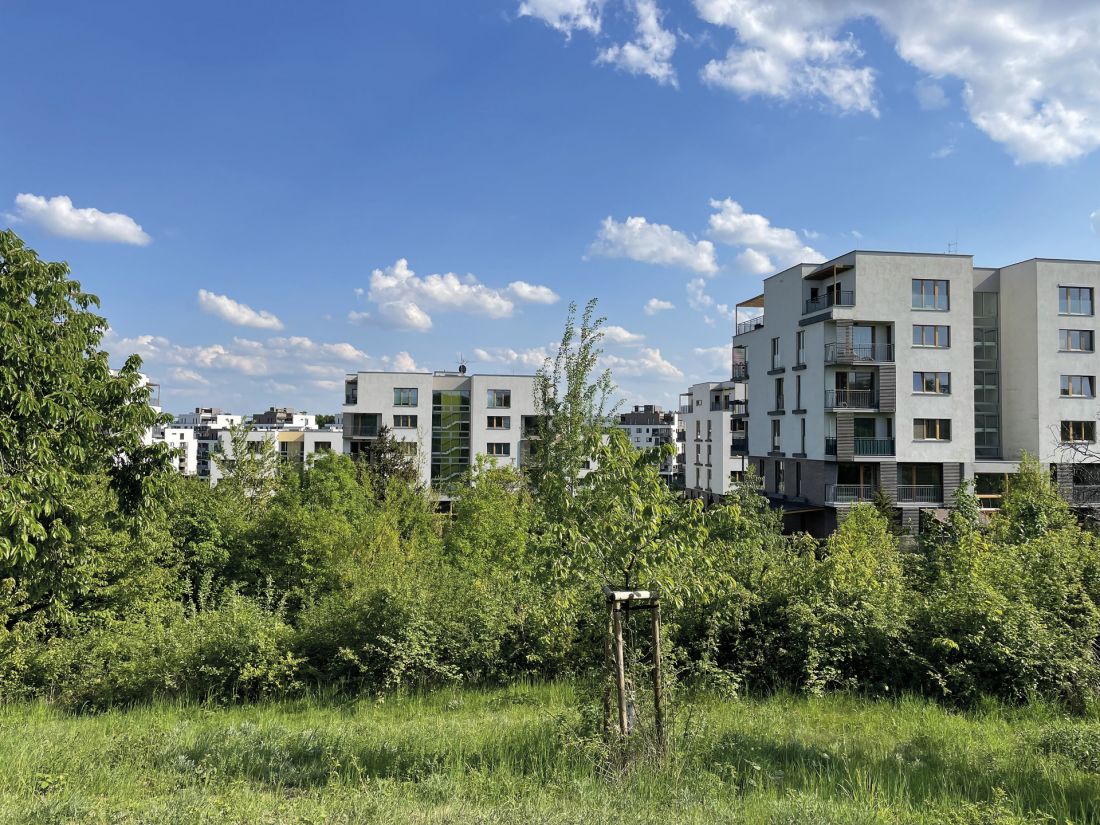widok na osiedle Zelené Město w Pradze - metamorfoza ogródków działkowych w las - Sad Třešňovka