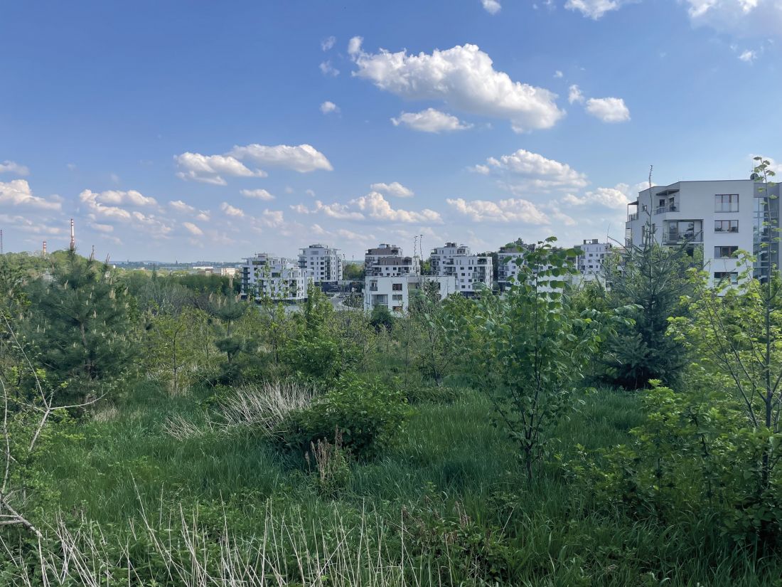 widok na osiedle Zelené Město w Pradze - architektura krajobrazu przyszłości