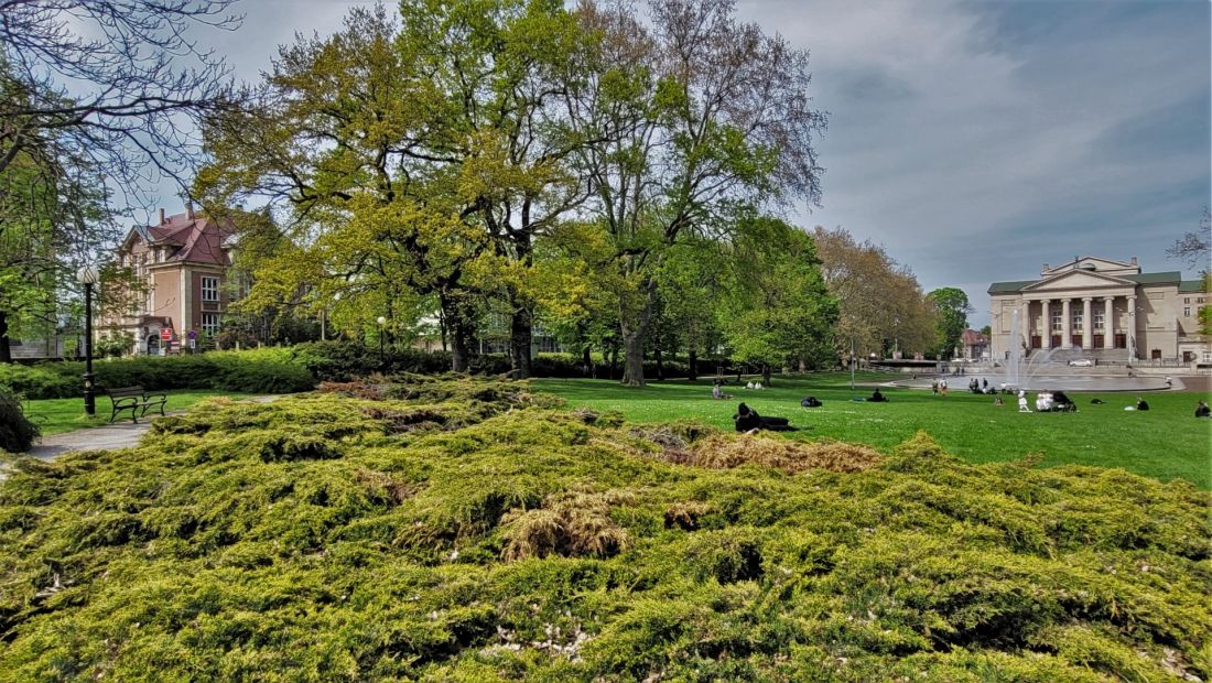 uam park mickiewicza opera poznań