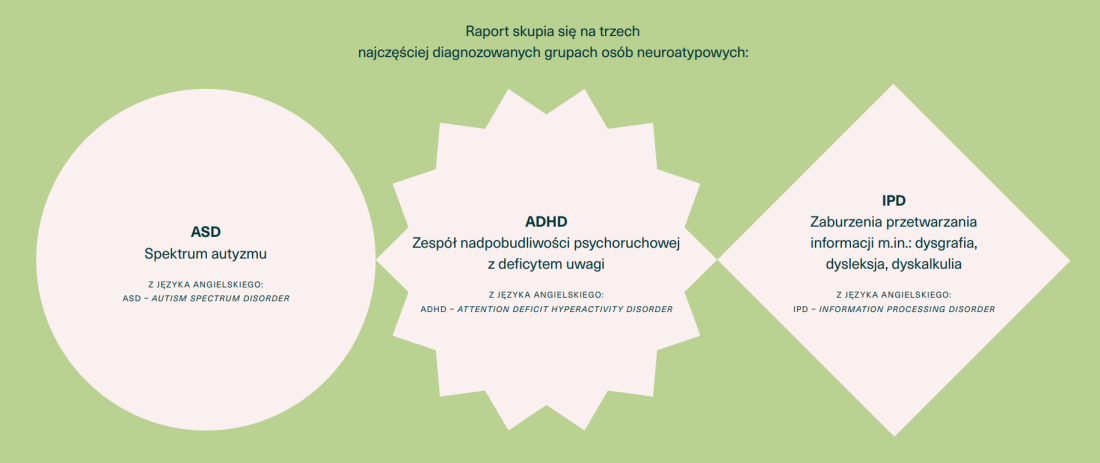 autorzy raportu skupiają się na trzech grupach
