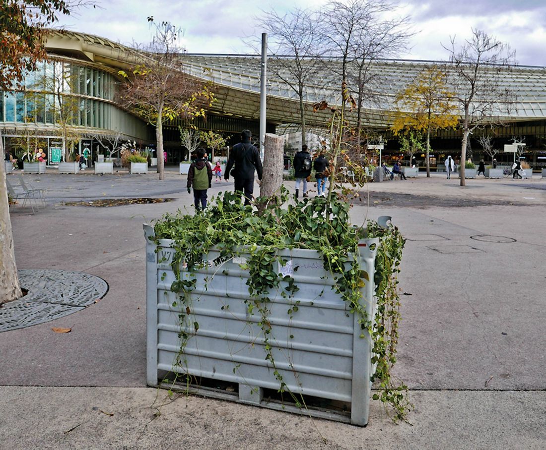 rejon Les Halles