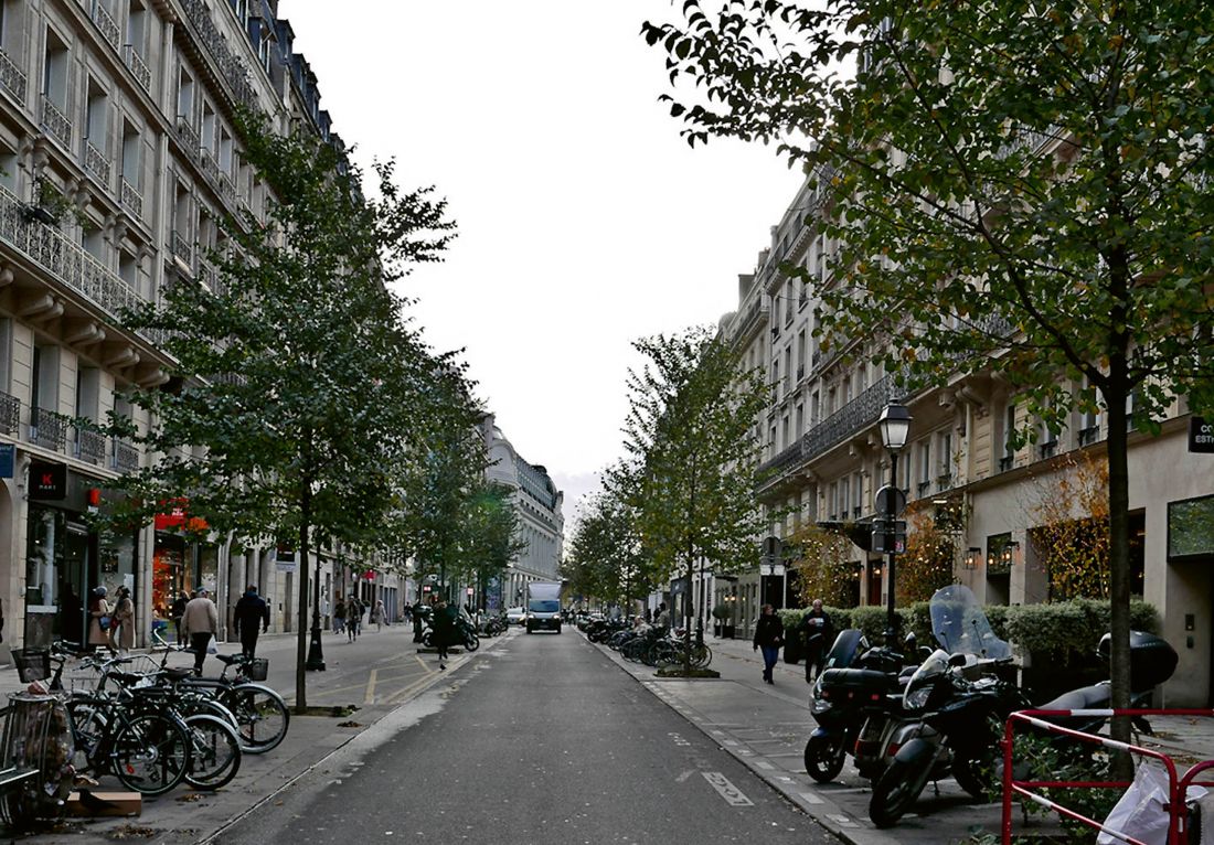 znajdująca się w ścisłym centrum Rue du Pont Neuf to jeden z nielicznych niestety na razie przykładów wprowadzenia w życie nasadzeń wysoką roślinnością kosztem dawnych miejsc postojowych