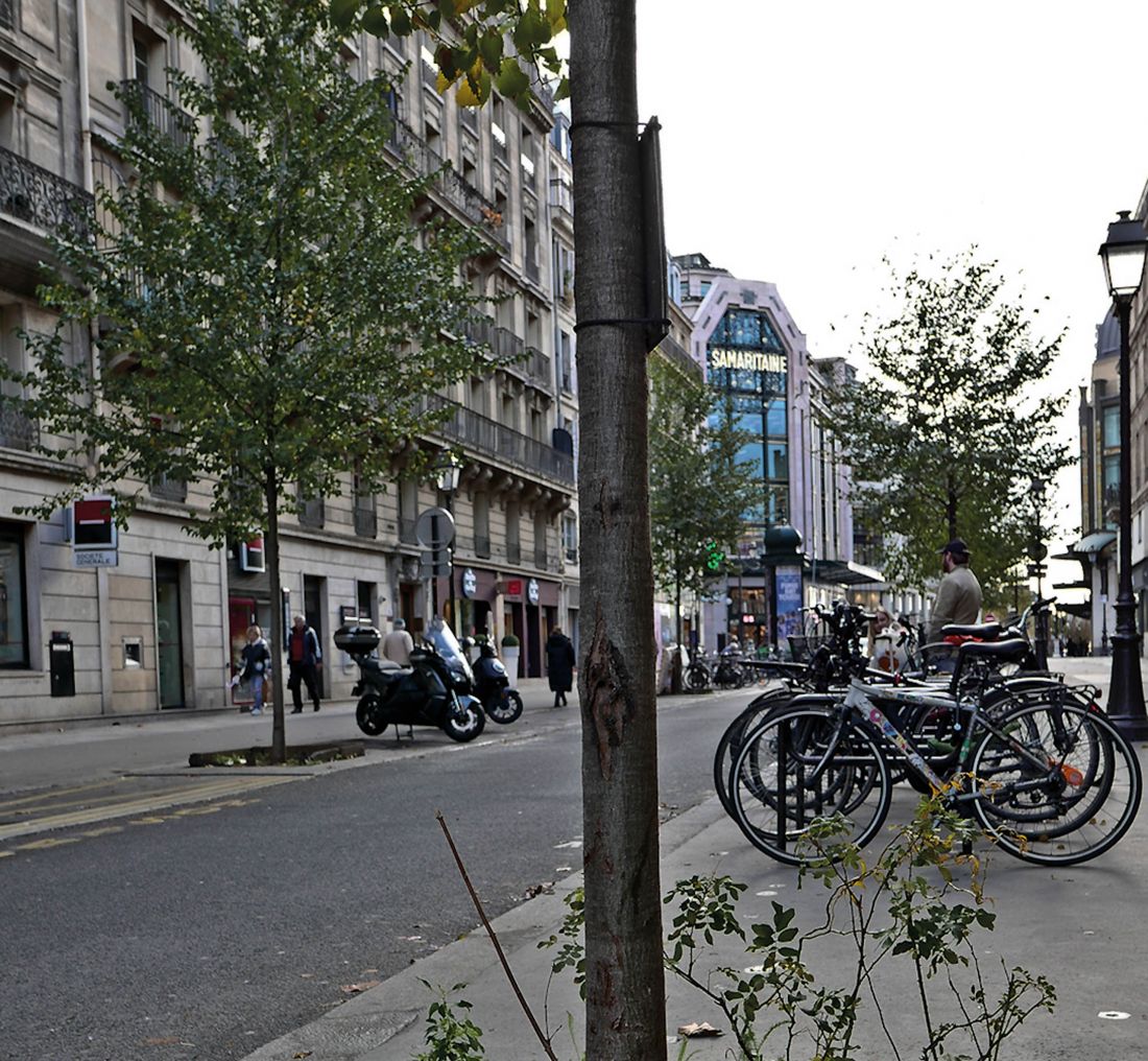 znajdująca się w ścisłym centrum Rue du Pont Neuf to jeden z nielicznych niestety na razie przykładów wprowadzenia w życie nasadzeń wysoką roślinnością kosztem dawnych miejsc postojowych