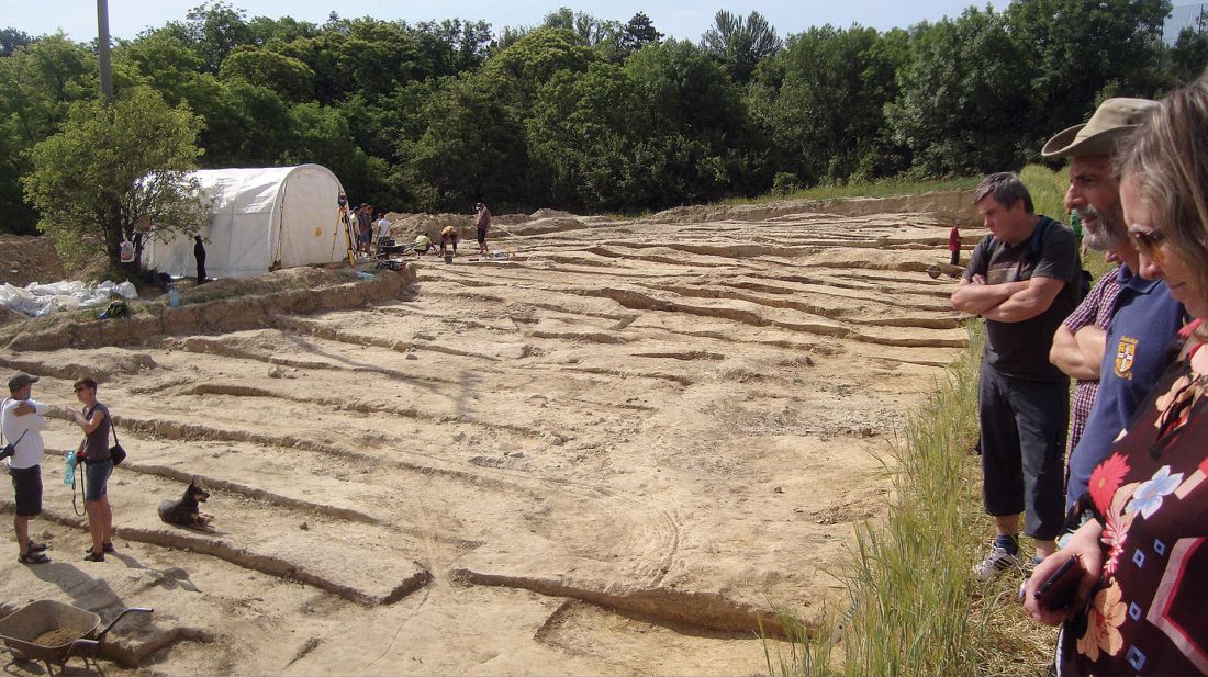  wykopaliska na terenie stanowiska archeologicznego Pavlov
