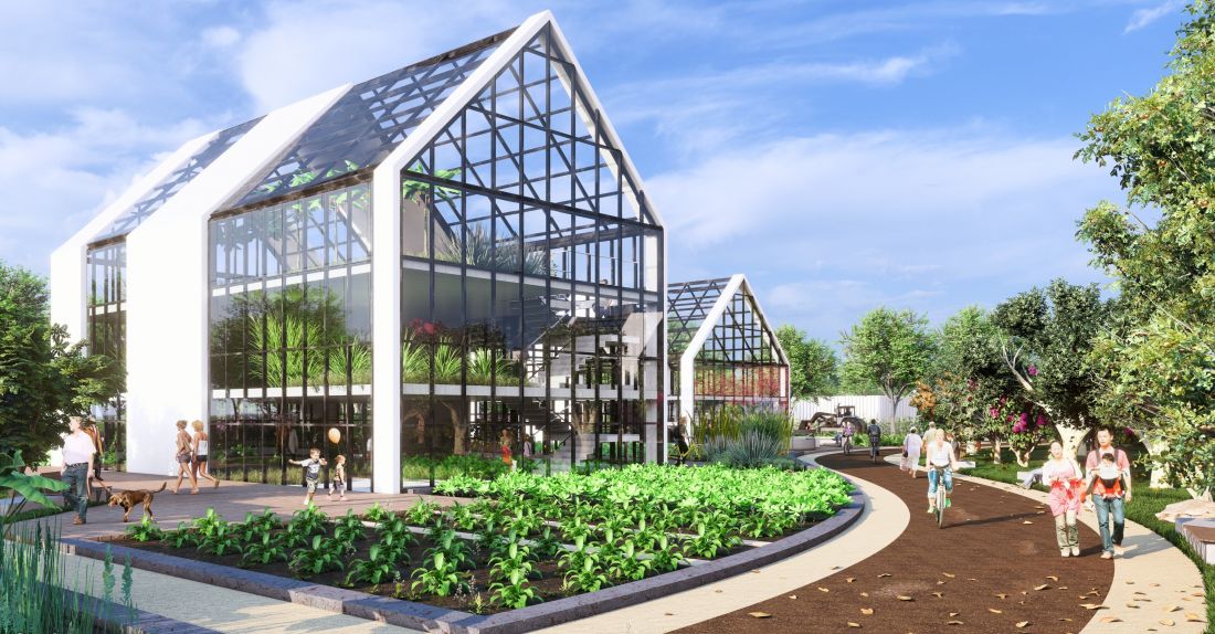 Teren urban farmingu i szklarnie