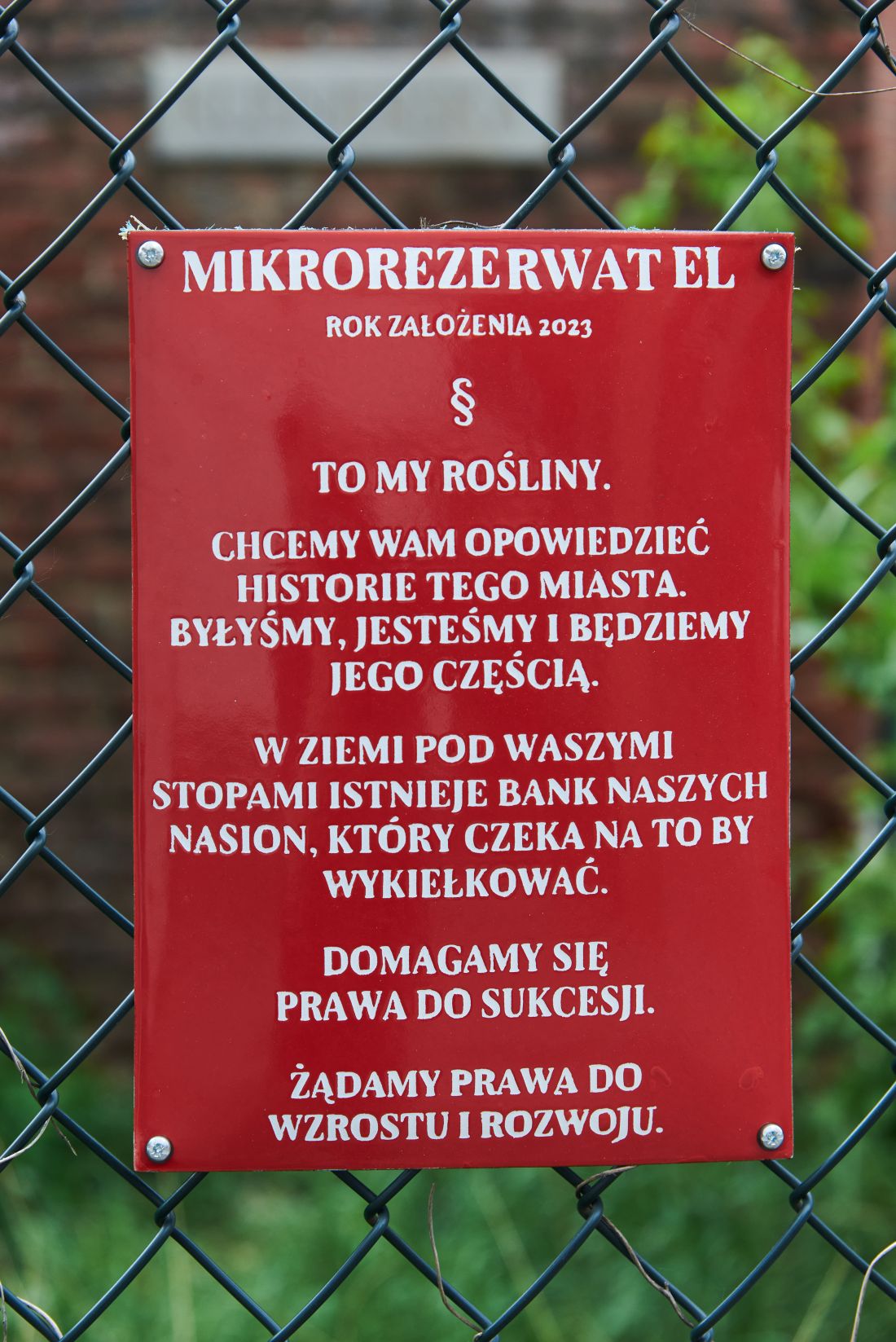 Jakubowski, Szmek