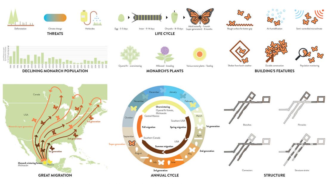 infografika