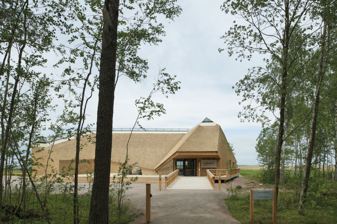 tradycja korzystania z trzciny jako materiału budowlanego zainspirowała architekta Gerta Wingårdha do zastosowania strzechy z trzciny na zewnętrznej stronie budynku; strome nachylenie dachów daje szacowaną żywotność strzechy na ponad pięćdziesiąt lat