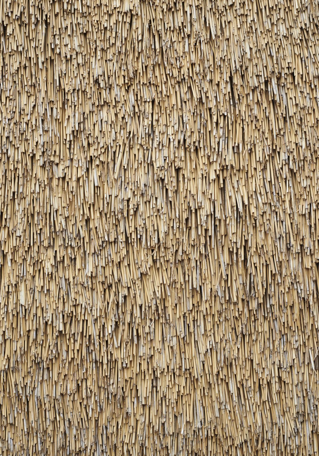 strzecha