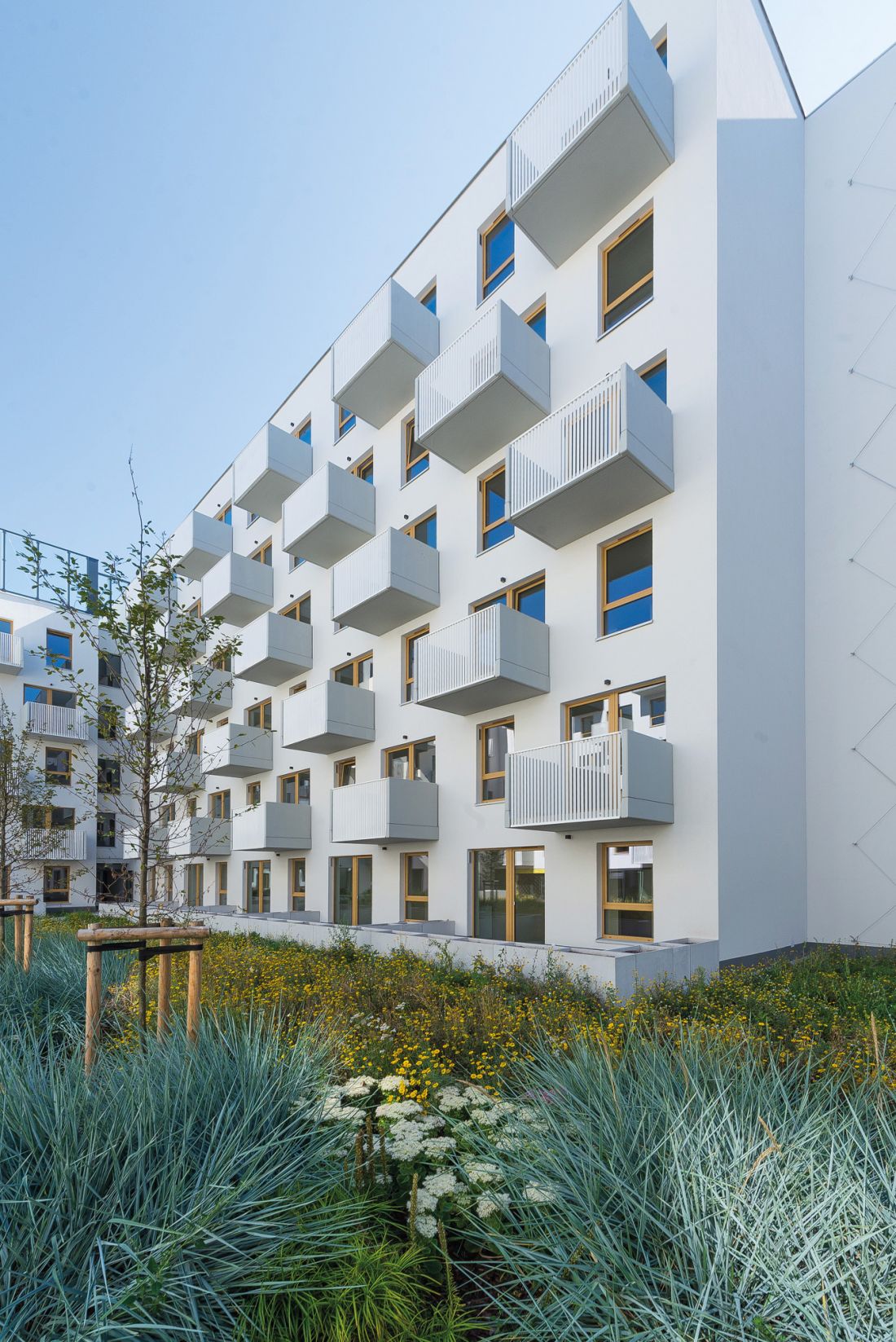 Braniborska 44-52 Wrocław | proj.: Arch_it Piotr Zybura