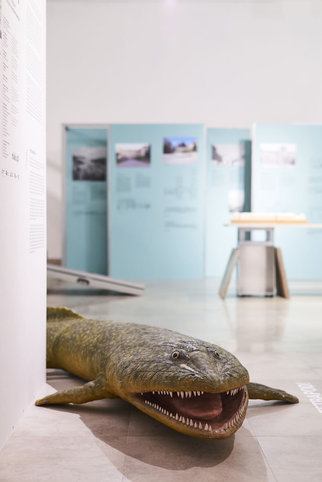 Tetrapod