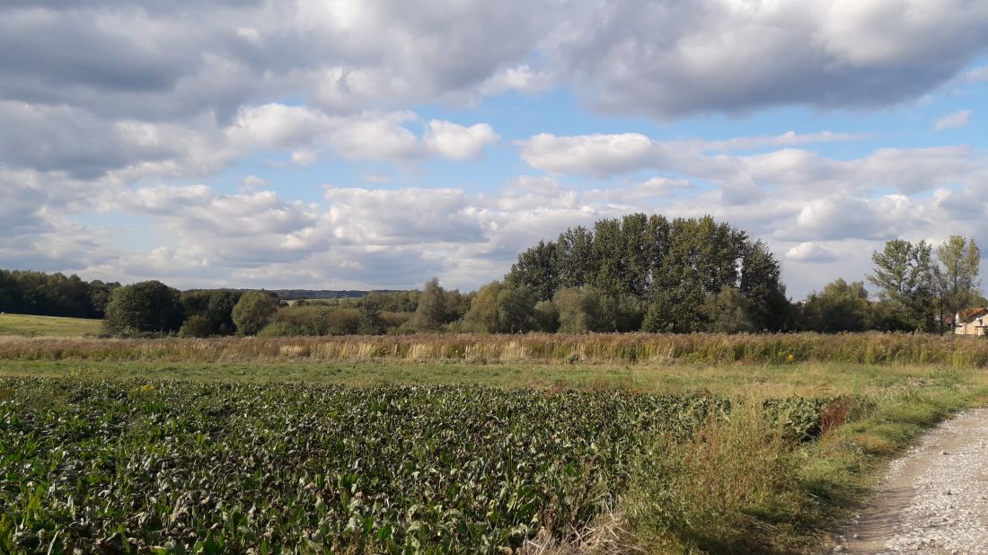 Olszanica należy do dzielnicy Zwierzyniec w Krakowie