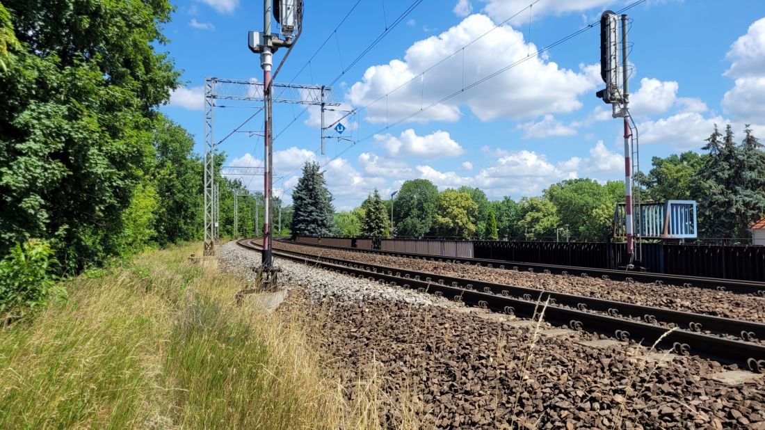Wysoka zieleń wzdłuż torów PKP w centrum Poznania