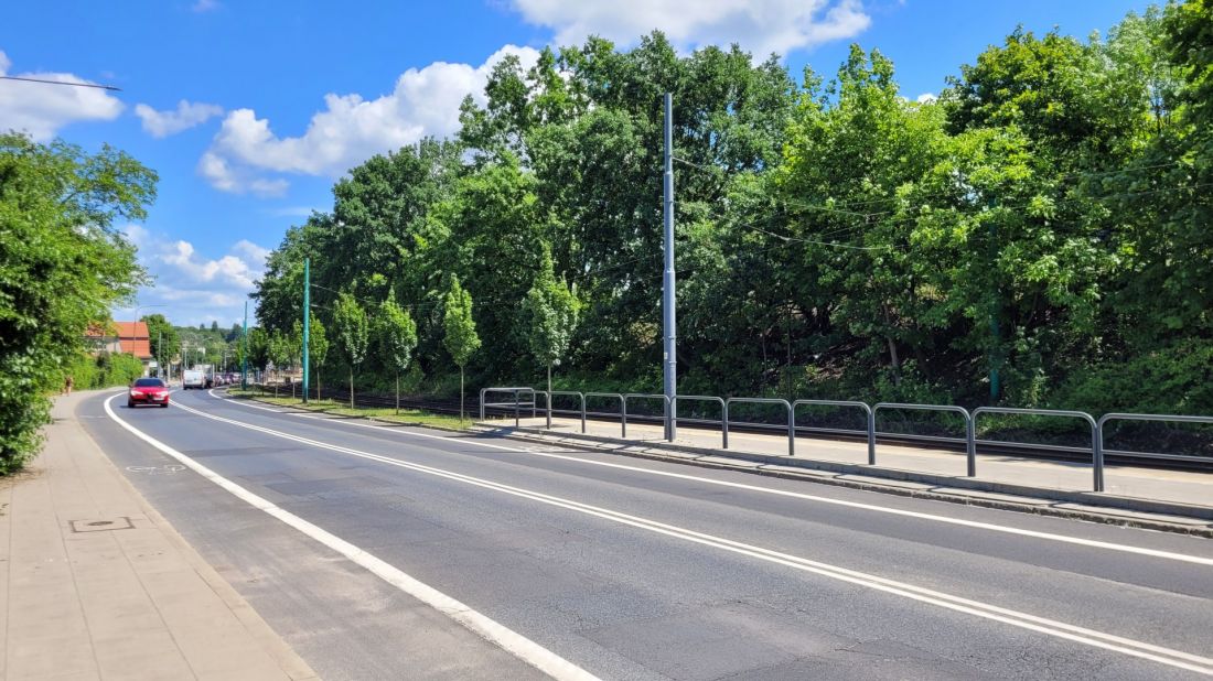 Wysoka zieleń wzdłuż torów PKP w centrum Poznania